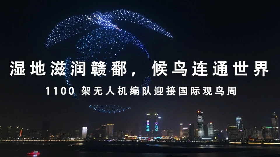 1100台无人机赣江之畔震撼演绎候鸟浩荡迁徙